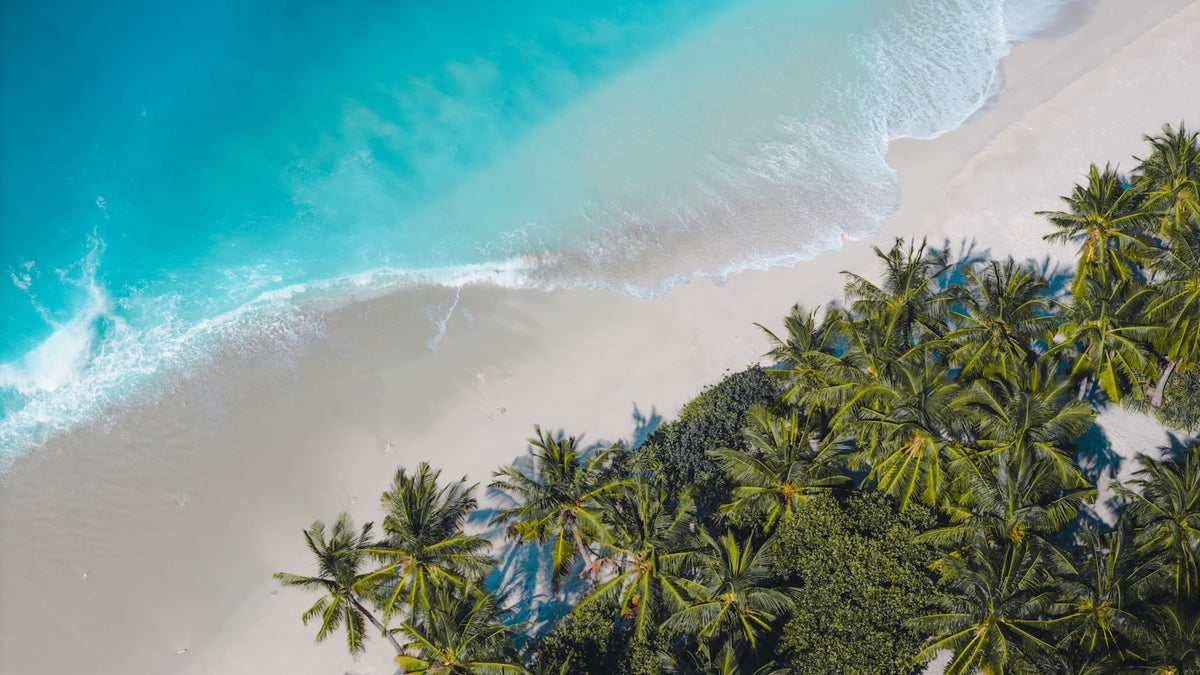 Tropischer Strand auf den Malediven mit Palmen und türkisem Wasser – BuddySIM eSIM