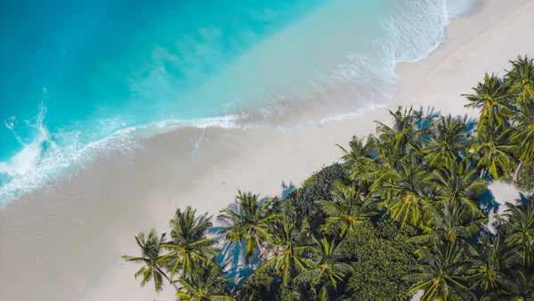 Tropischer Strand auf den Malediven mit Palmen und türkisem Wasser – BuddySIM eSIM
