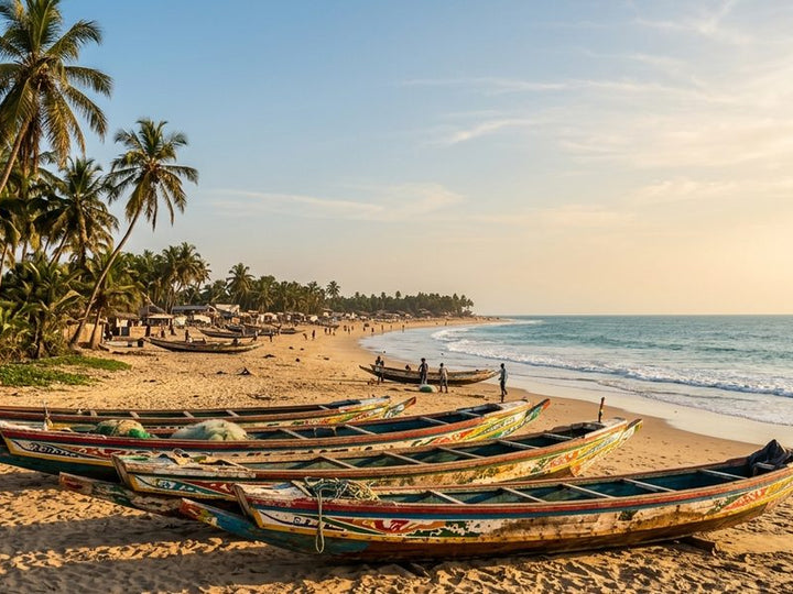 Strand in Gambia mit bunten Fischerbooten und Palmen