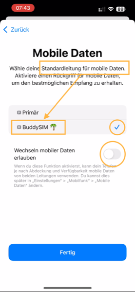 eSIM aktivieren auf iPhone 13 – Schritt-für-Schritt Anleitung – BuddySIM