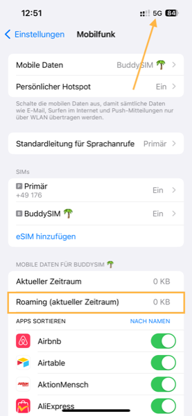 eSIM aktivieren auf iPhone 13 – Schritt-für-Schritt Anleitung – BuddySIM
