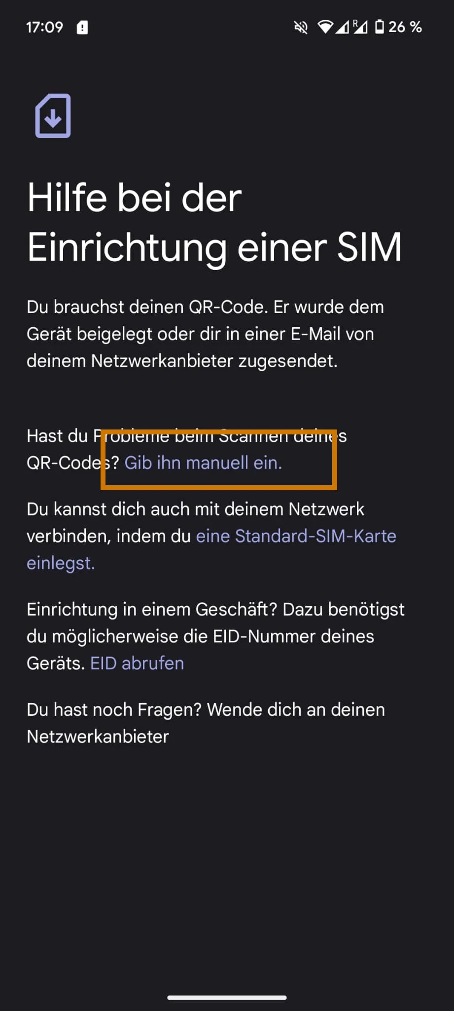 Activate eSIM manually on Google Pixel 3a – guide – BuddySIM
